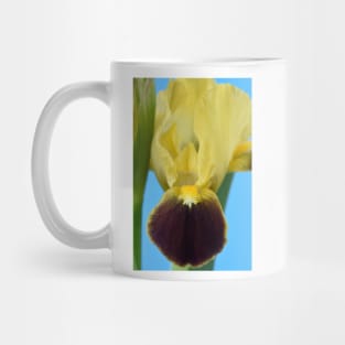 Bearded iris Mug